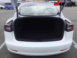 TESLA 6