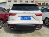 ZOTYE T700 4